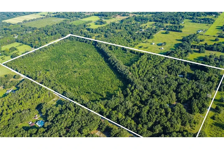 80 acres A10 MINUTOS DE TOD0 image 5