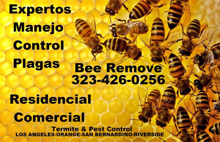 EXTERMINATOR-FUMIGACIONES 24/7 image 3