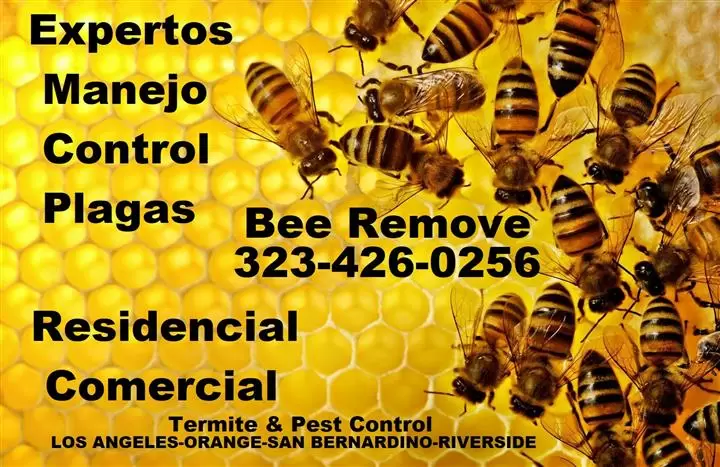 EXTERMINATOR-FUMIGACIONES 24/7 image 3