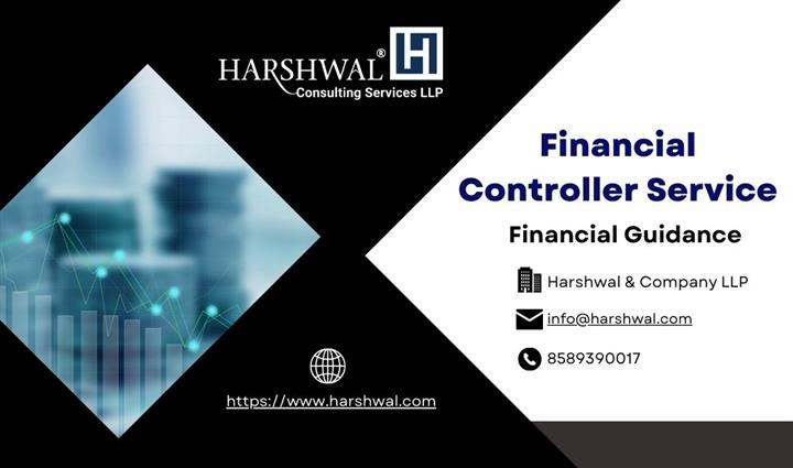 Financial Controller Service image 1