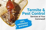 Termite Control100%Garantizado thumbnail