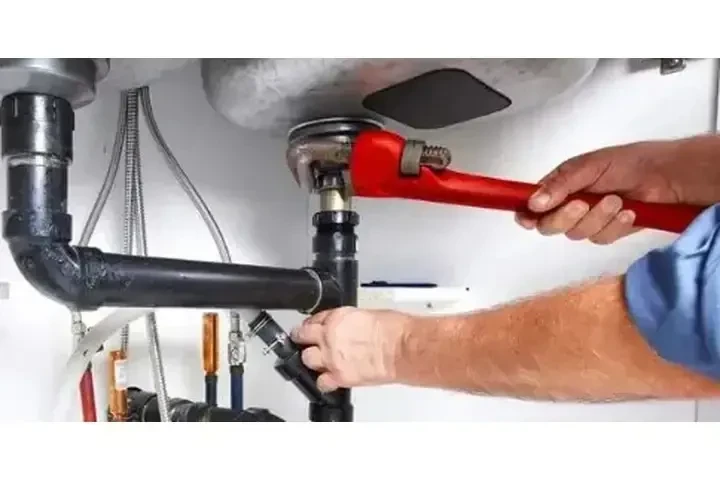 PLOMERIA EN GENERAL image 4