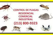 FUMIGACION DE PLAGAS 24/7 . en Los Angeles