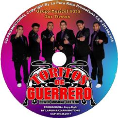 Toritos De Guerrero image 4