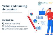 Tribal and Gaming Accountant