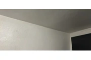Renta cuarto
