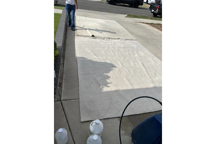 Lavado de Alfombras image 10