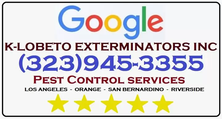 PEST CONTROL (323)945-3355 image 3