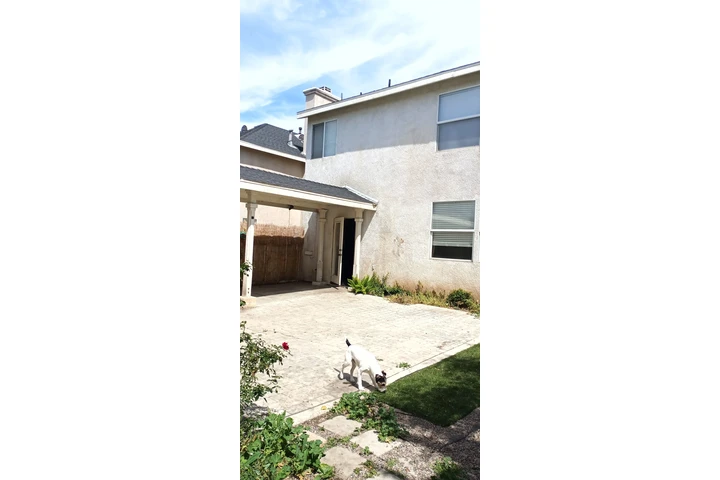 Gonzalez Painting Services image 6