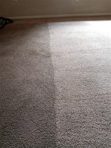 Dominguez Carpet Cleaning image 2