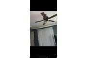 Cuarto para rentar