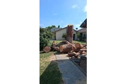 Memo's Tree Service thumbnail