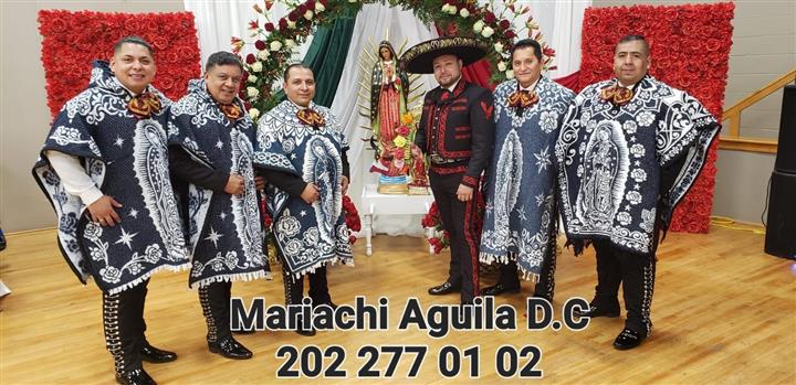 MariachiAguilaDC Internacional image 5