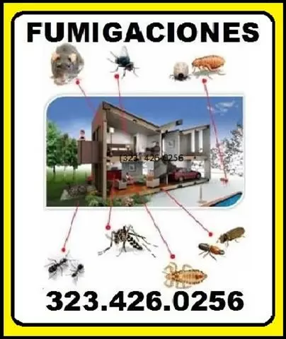 FUMIGACIONES ECONOMICAS image 4