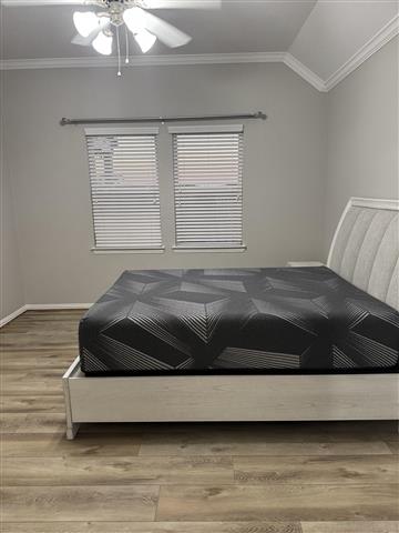 $900 : ROOM FOR RENT image 4