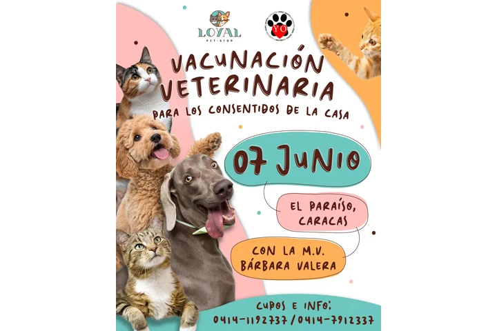 Vacunación Veterinaria Mensual image 7