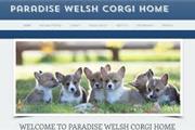Paradise Welsh Corgi Home thumbnail 3