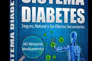 Revertir la diabetes tipo 2 en Pereira