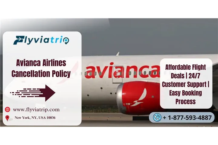 Understanding the Avianca Airl image 1