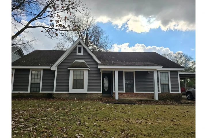 Professional Gutter image 8