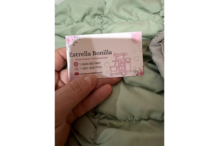 Trabajo de limpieza image 1