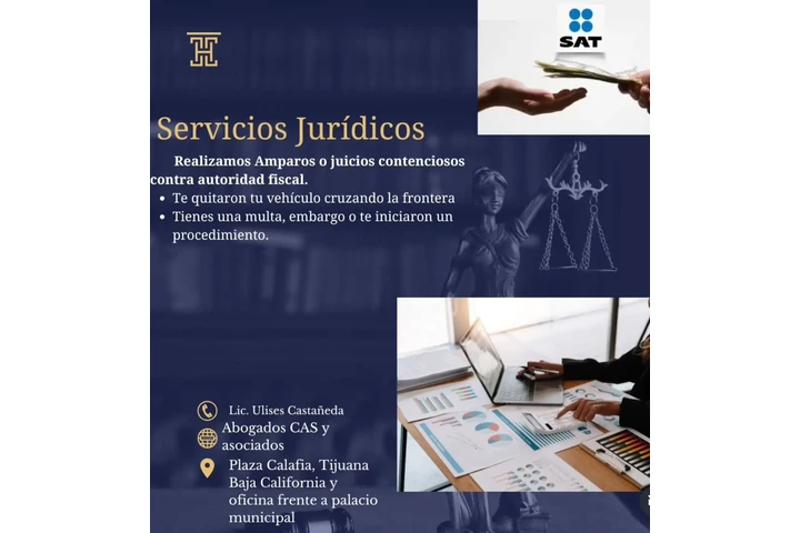 Amparos y Juicios Contenciosos image 1