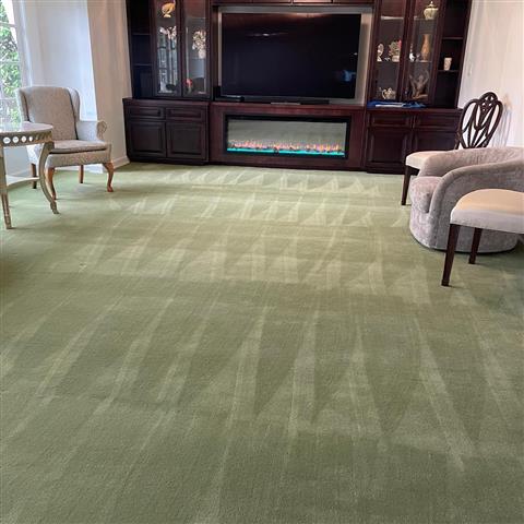 O&Z Carpet Cleaning image 7