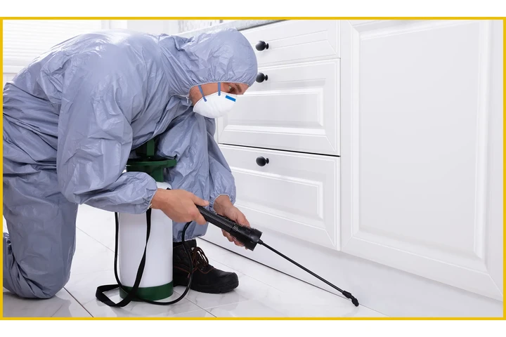 Expertos en control de plagas image 4
