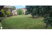 Jamy Mowing thumbnail