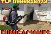 FUMIGACIONES Y DESINFECCION en Quito