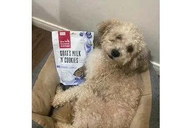 Alimento para mascotas en Los Angeles
