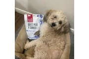Alimento para mascotas en Los Angeles