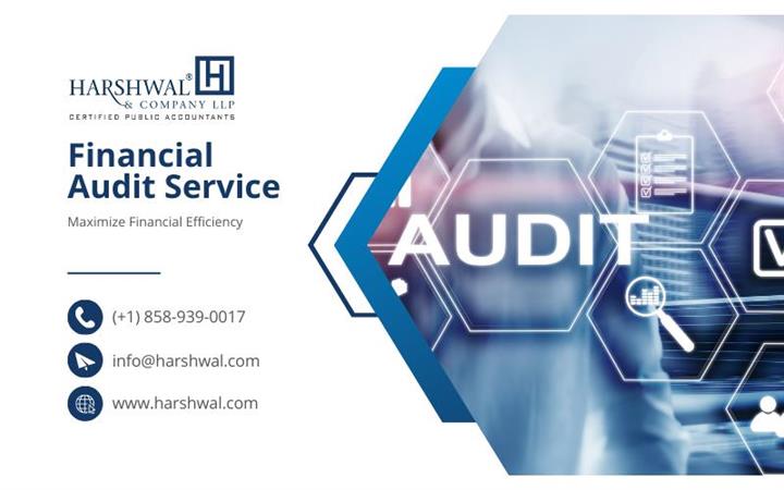 financial Audit image 1