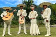 Mariachi en santiago en Santo Domingo