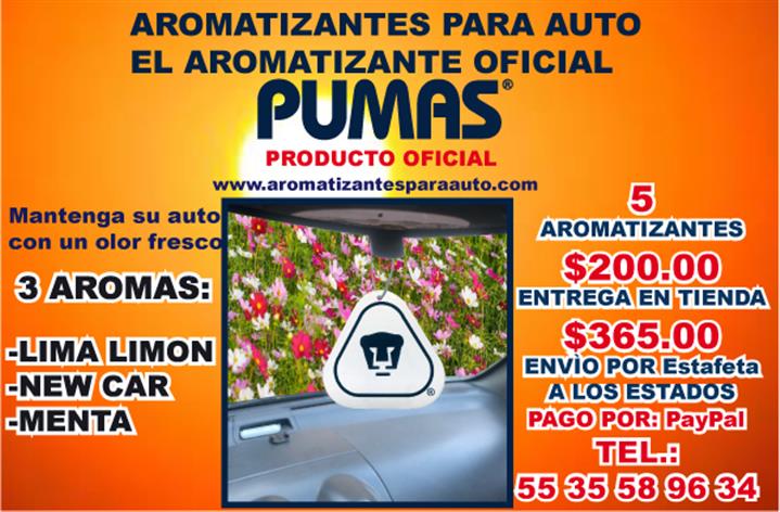 AROMATIZANTES PARA AUTO image 4