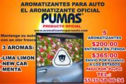 AROMATIZANTES PARA AUTO thumbnail