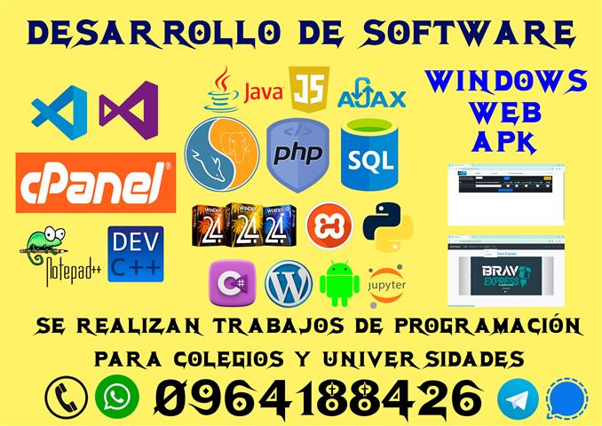 Desarrollo de Software image 1