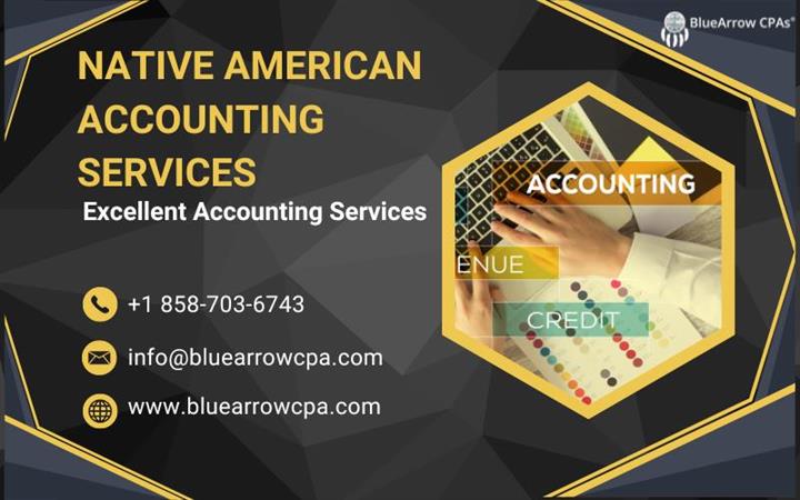 Native American Accounting image 1