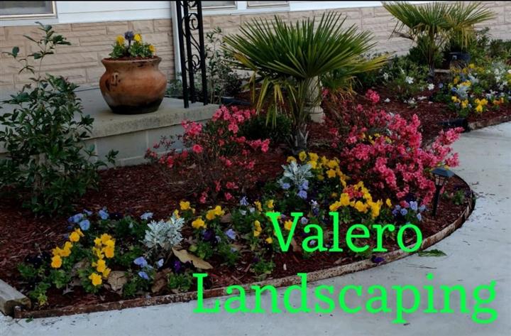 Valero Landscaping image 2