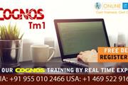 Cognos TM1 Online Training en Dallas
