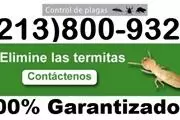 TERMITES-REPAIRS-FUMIGATIONS en Los Angeles