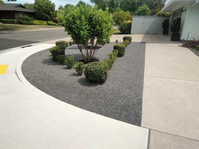 Amazing landscaping services! image 9