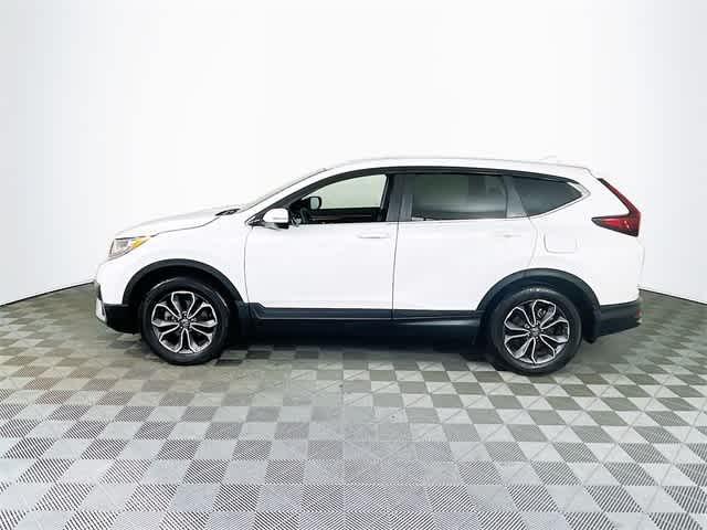 $27713 : PRE-OWNED 2022 HONDA CR-V EX image 6