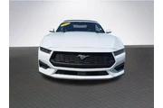 $32480 : Ford Mustang 2024 EcoBoost P thumbnail