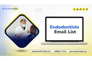 Endodontists Email List en New York