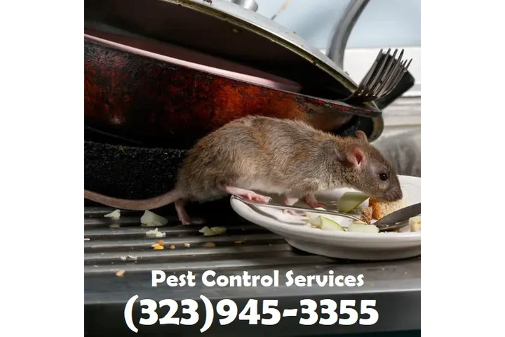 PEST CONTROL COMMERCIAL 24/7.- image 9