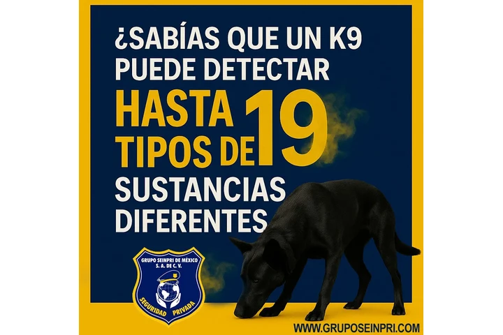 La mejor opción "SERVICIO K9" image 1