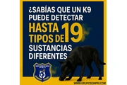 La mejor opción "SERVICIO K9" en Mexico DF