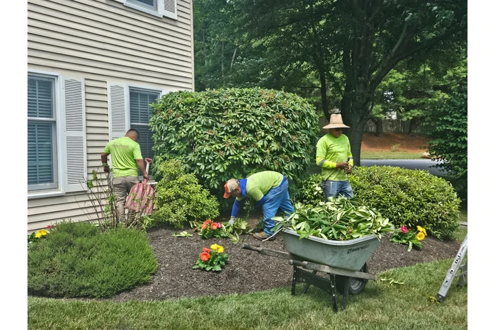 Professional Maintenance image 9