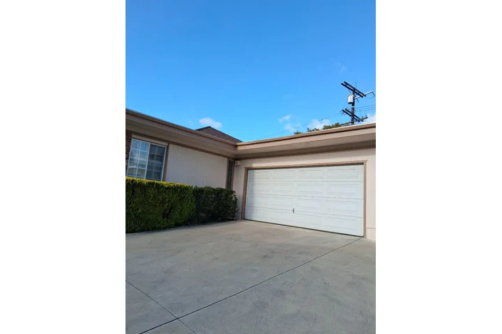 Pintura Profesional image 1